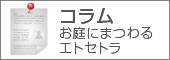 コラム「お庭にまつわるエトセトラ」