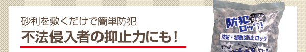 不法侵入者の抑止力にも！